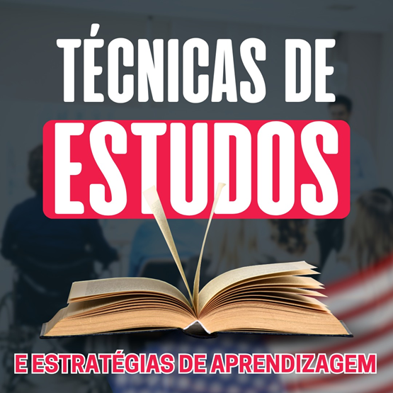 Técnicas o estrategias 